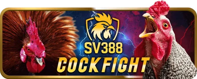 Cá cược các môn thể thao khác tại usbet chính thức